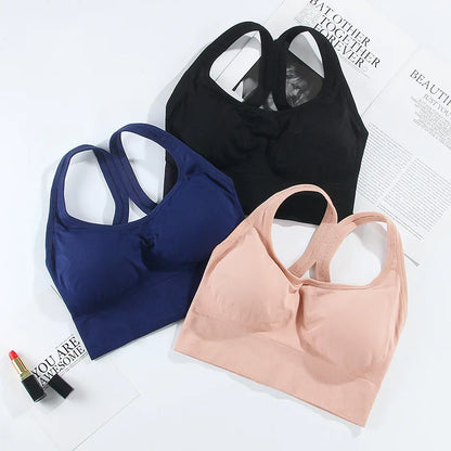 Padded Quick Dry Sports Bra