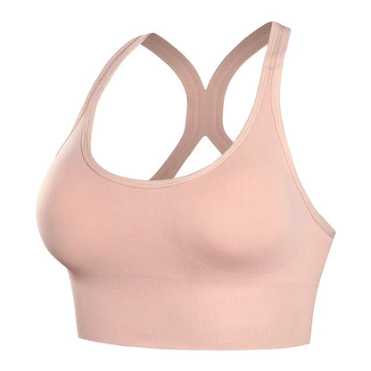 Padded Quick Dry Sports Bra