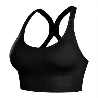 Padded Quick Dry Sports Bra