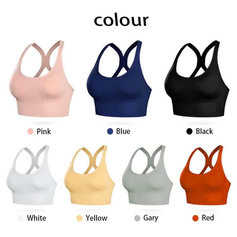 Padded Quick Dry Sports Bra