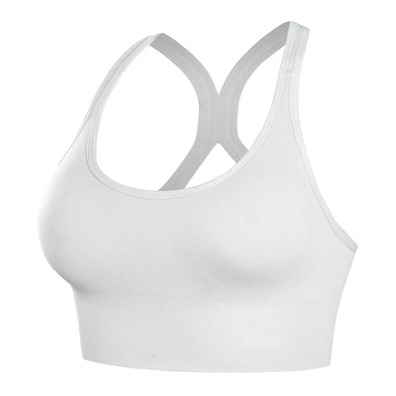Padded Quick Dry Sports Bra