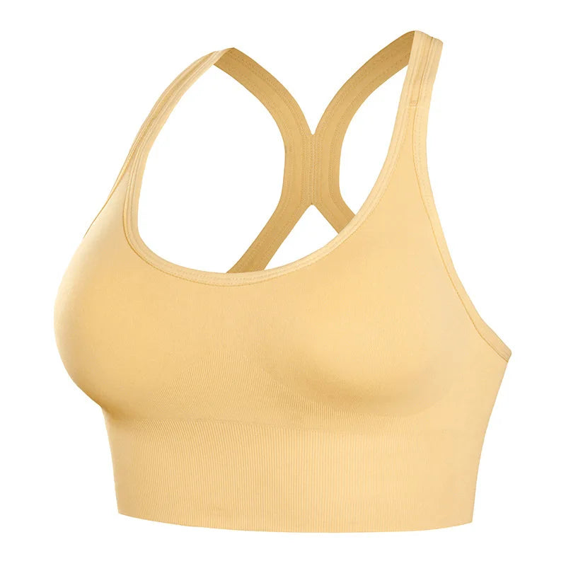 Padded Quick Dry Sports Bra