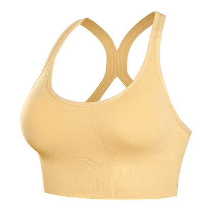Padded Quick Dry Sports Bra
