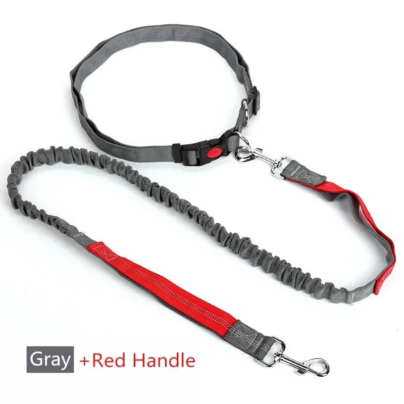 Retractable Hand Free Dog Leash