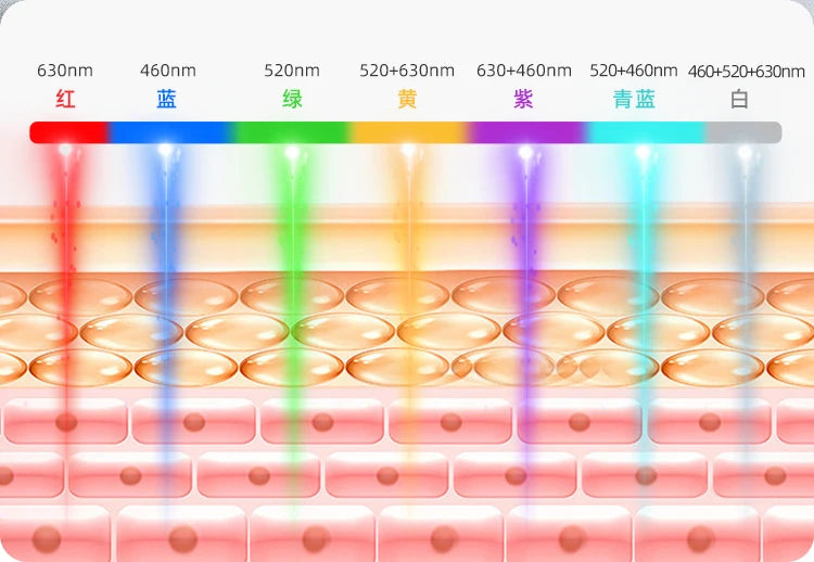 7 Color LED Face Mask