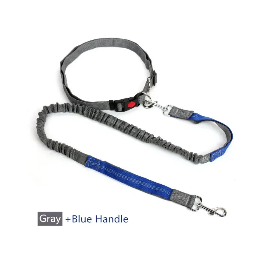 Retractable Hand Free Dog Leash
