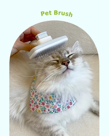 Pets Self-Cleaning Slicker Brush