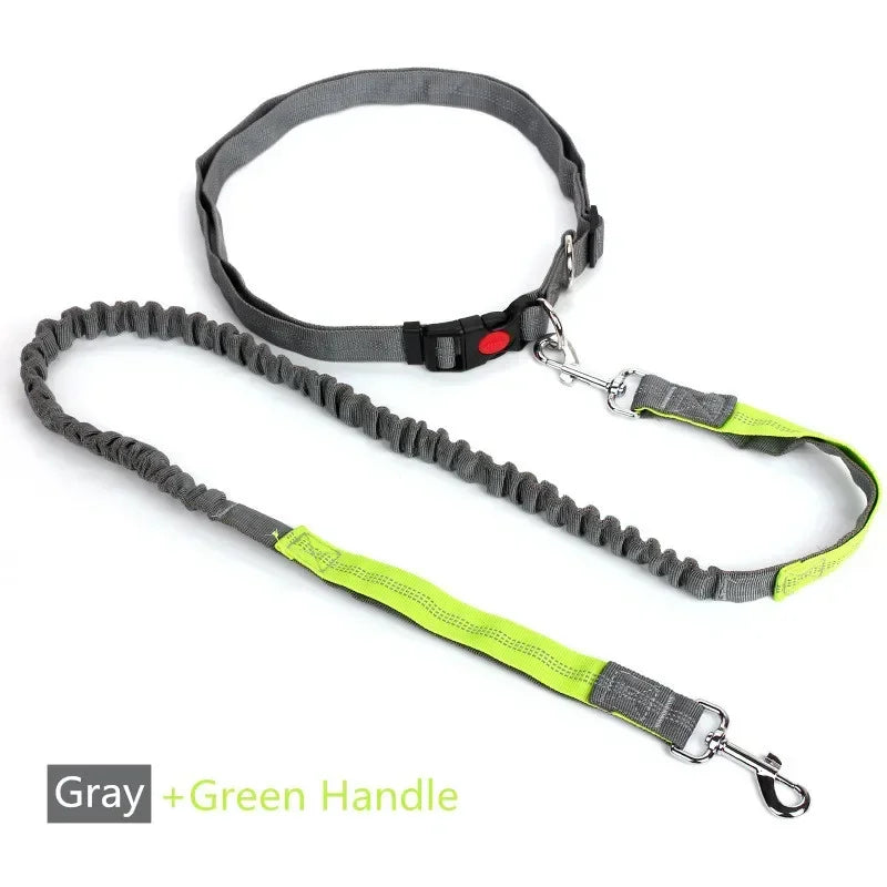 Retractable Hand Free Dog Leash