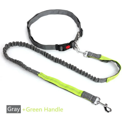 Retractable Hand Free Dog Leash