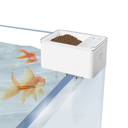 Smart Goldfish Timing Feeder