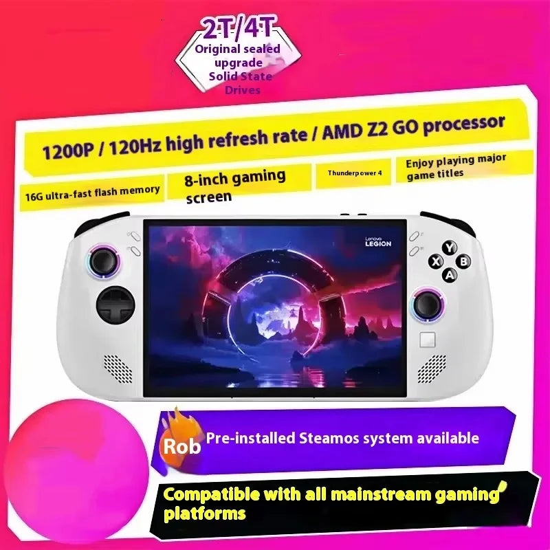 Handheld Video Game Console