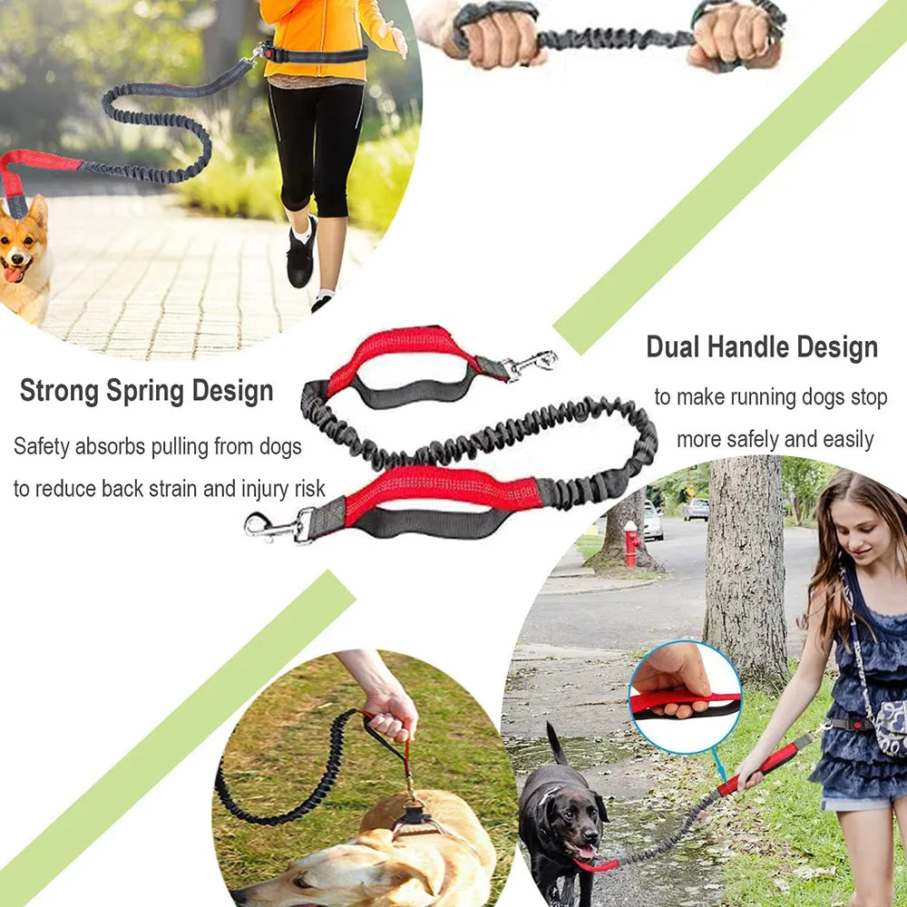 Retractable Hand Free Dog Leash