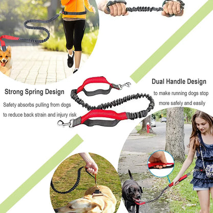 Retractable Hand Free Dog Leash