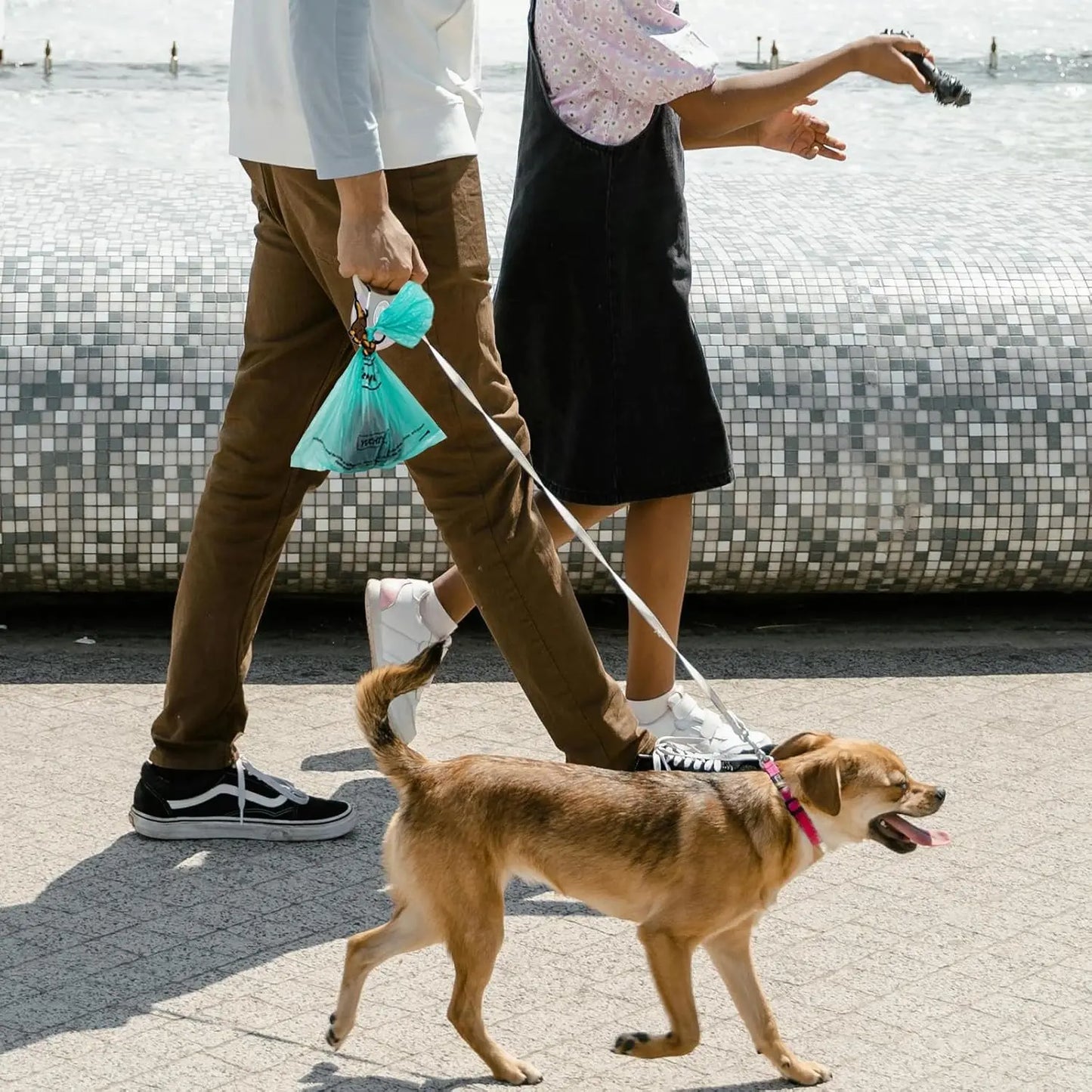 Biodegradable Poop Bags & Dispenser