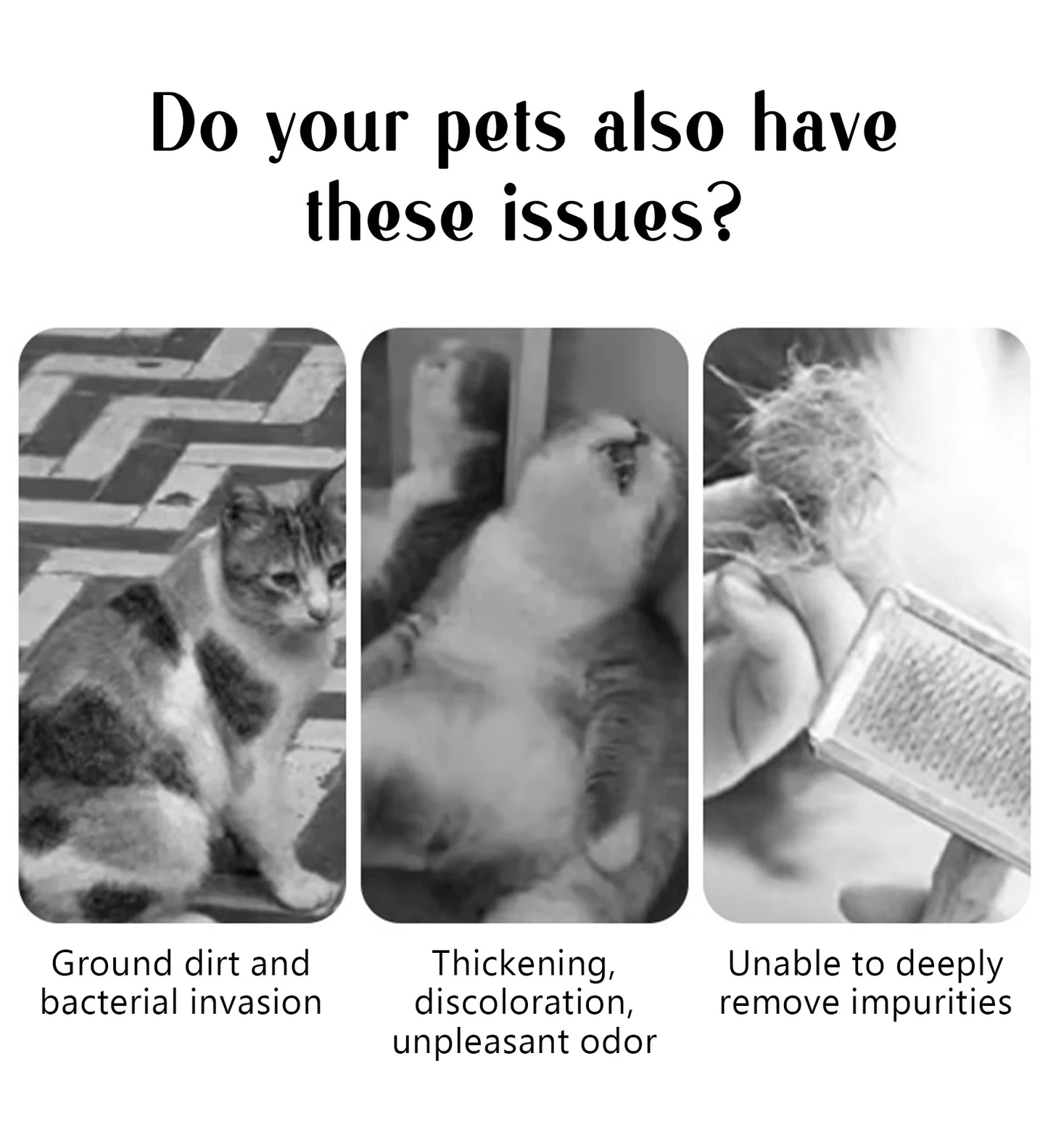 Pets Steam Massage Brush