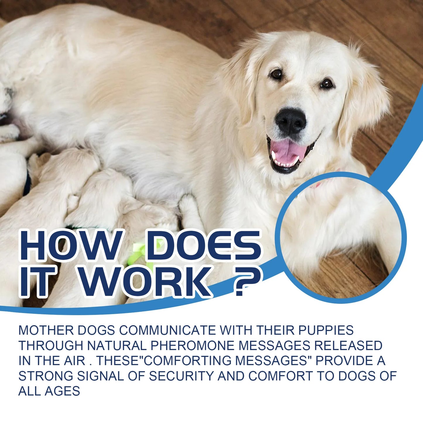 Dog Calming Diffuser Drops