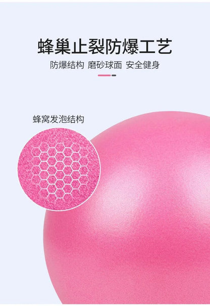 Women Gym Yoga Fitness Ball