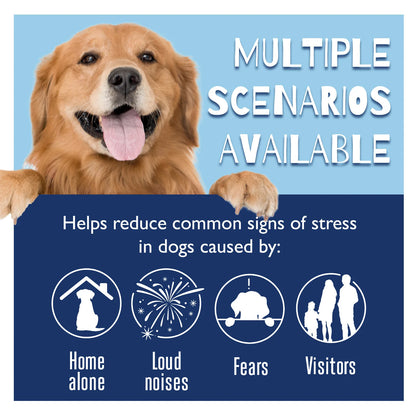 Dog Calming Diffuser Drops
