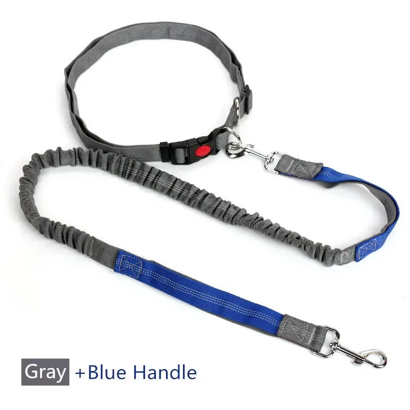 Retractable Hand Free Dog Leash