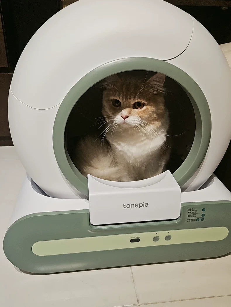 Automatic Cat Litter Box