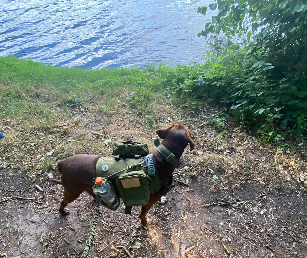 Military Tactical Dog Harness