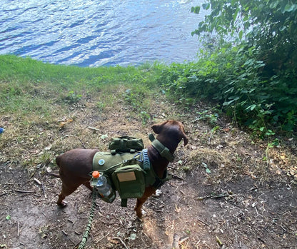 Military Tactical Dog Harness