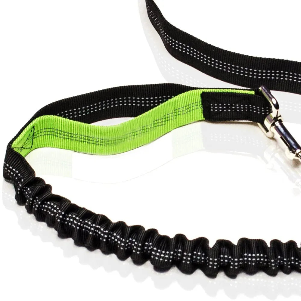 Retractable Hand Free Dog Leash