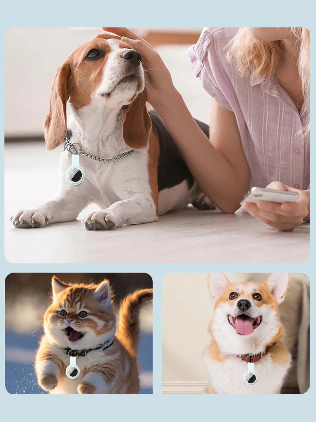 Pet Smart GPS Locator