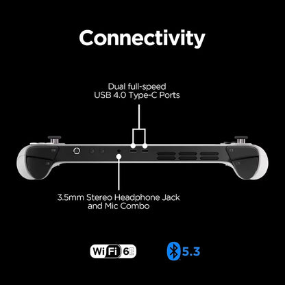 Handheld Video Game Console