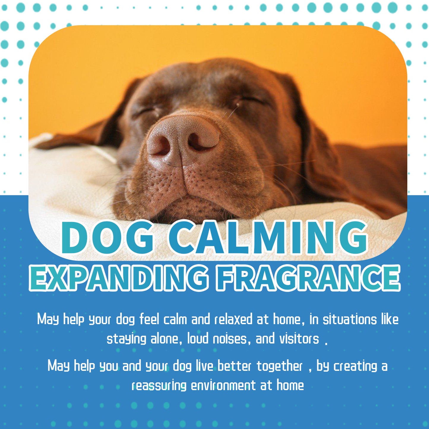 Dog Calming Diffuser Drops