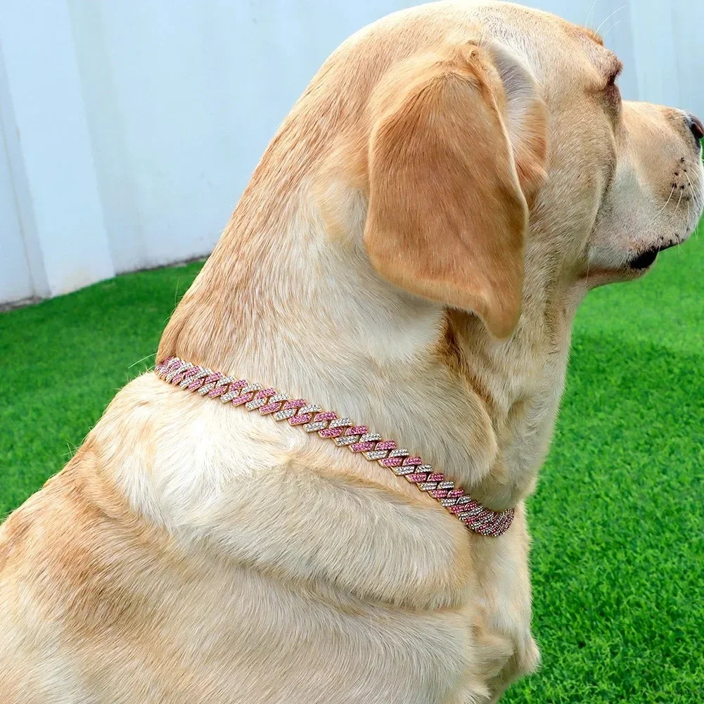 Pet Diamond Cuban Collar