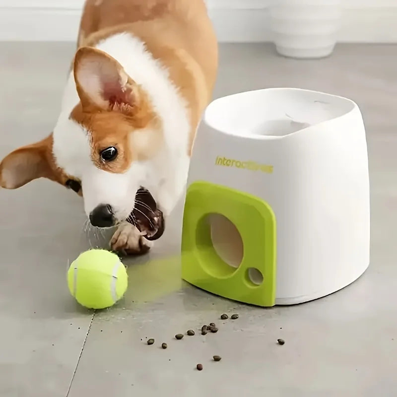Pet Tennis Training Machine