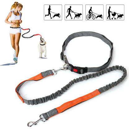 Retractable Hand Free Dog Leash