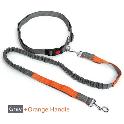 Retractable Hand Free Dog Leash